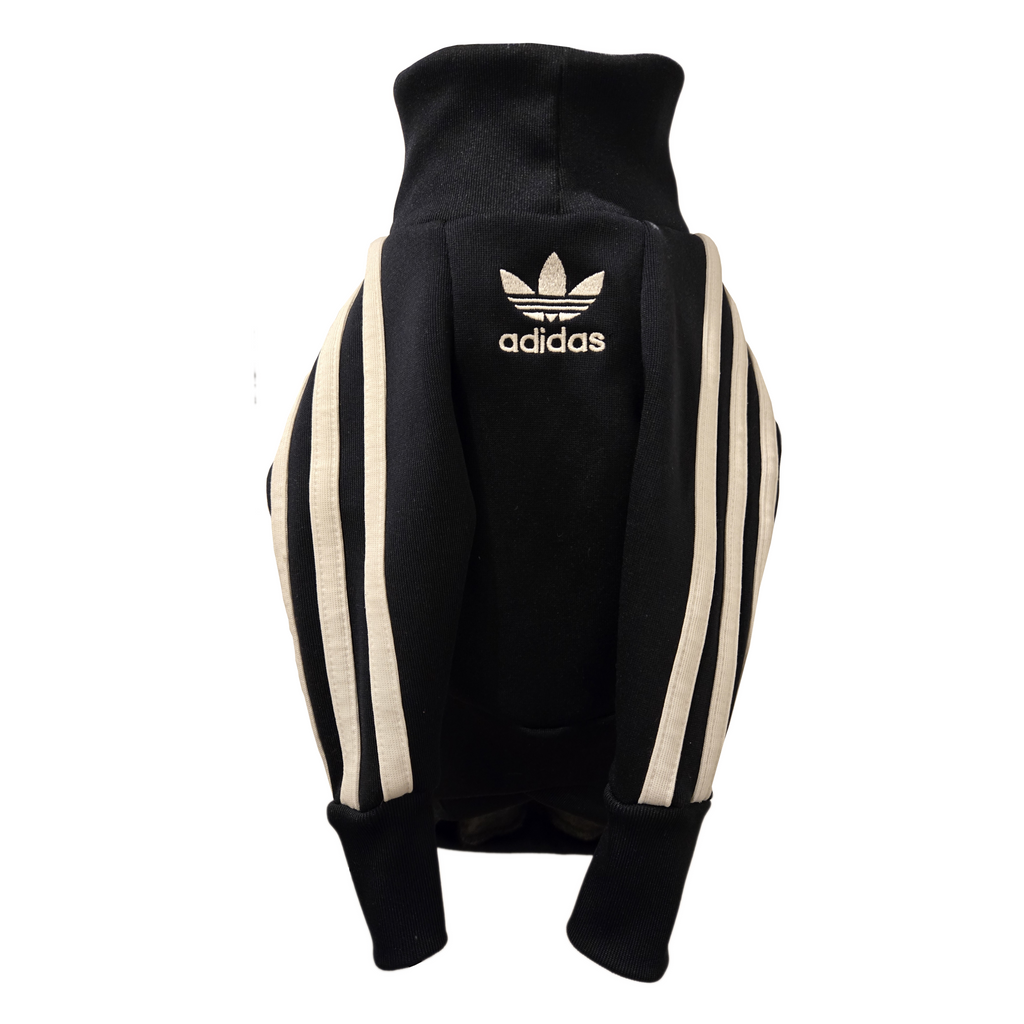 Large Italian Greyhound tracksuit