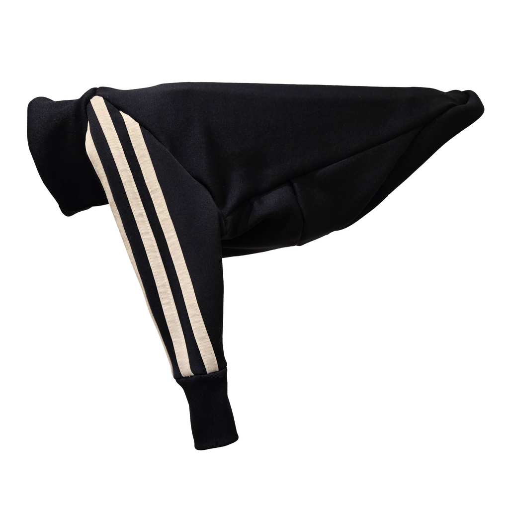 Large Italian Greyhound tracksuit