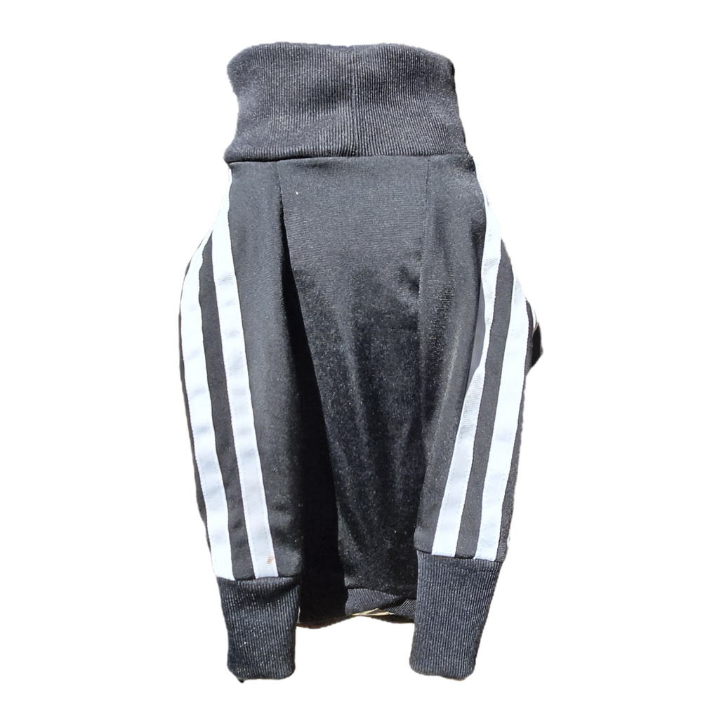 Standard Italian greyhound tracksuit