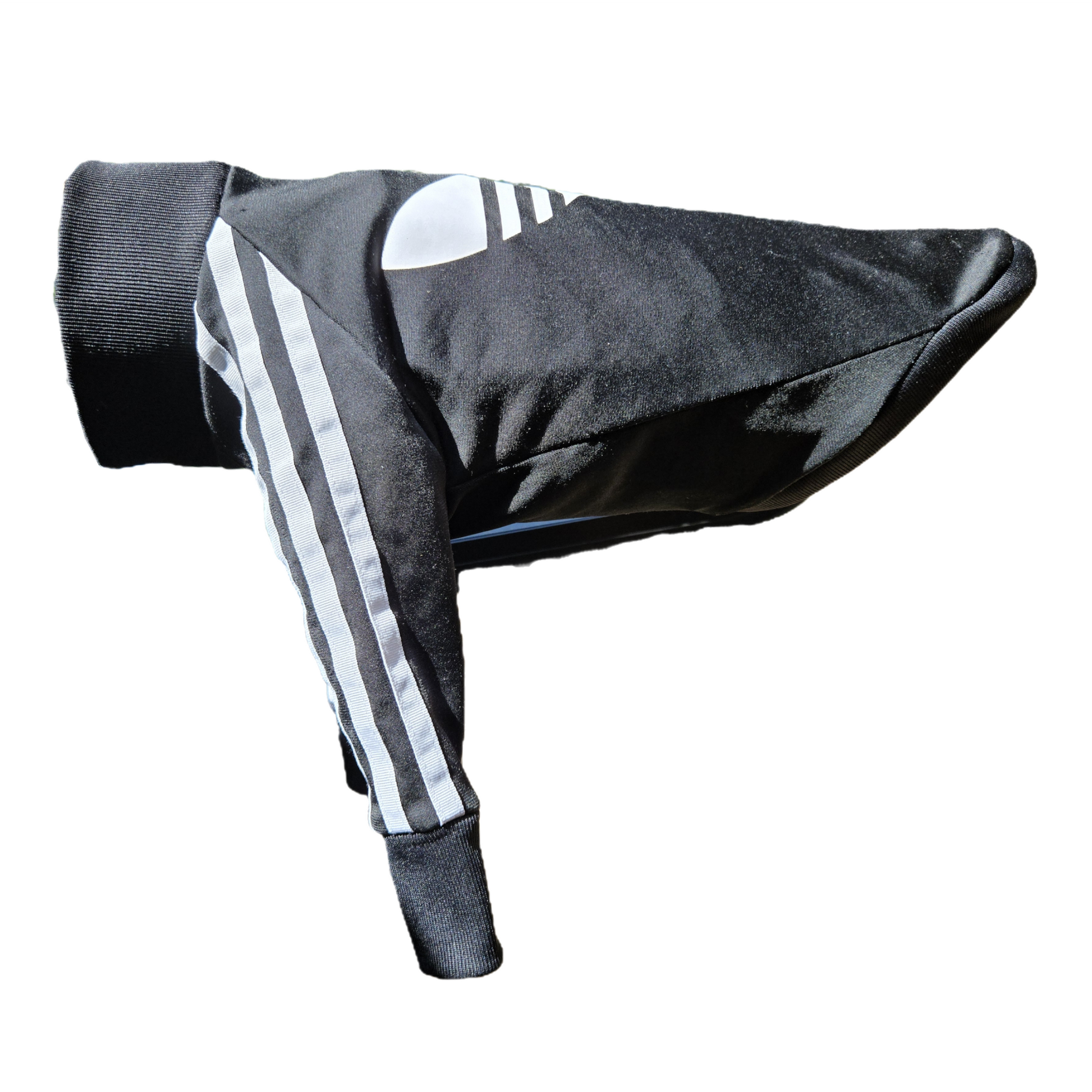 Standard Italian greyhound tracksuit