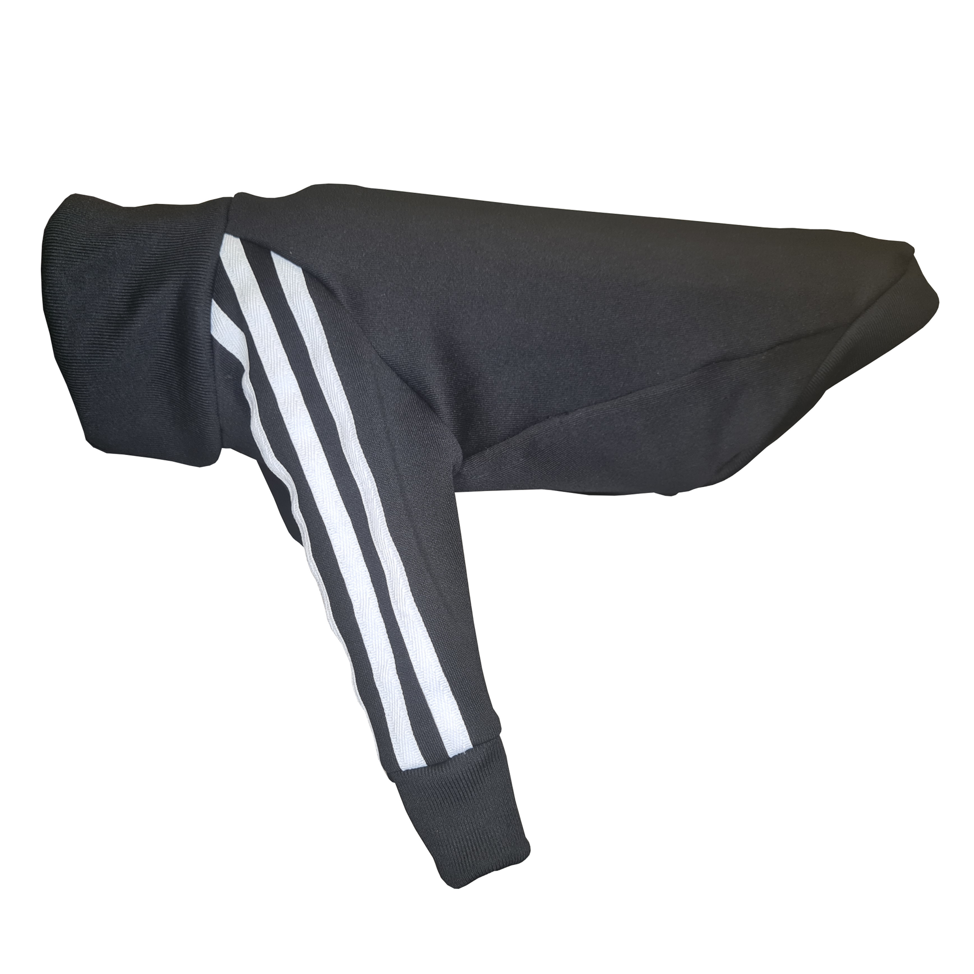 Standard Italian greyhound tracksuit