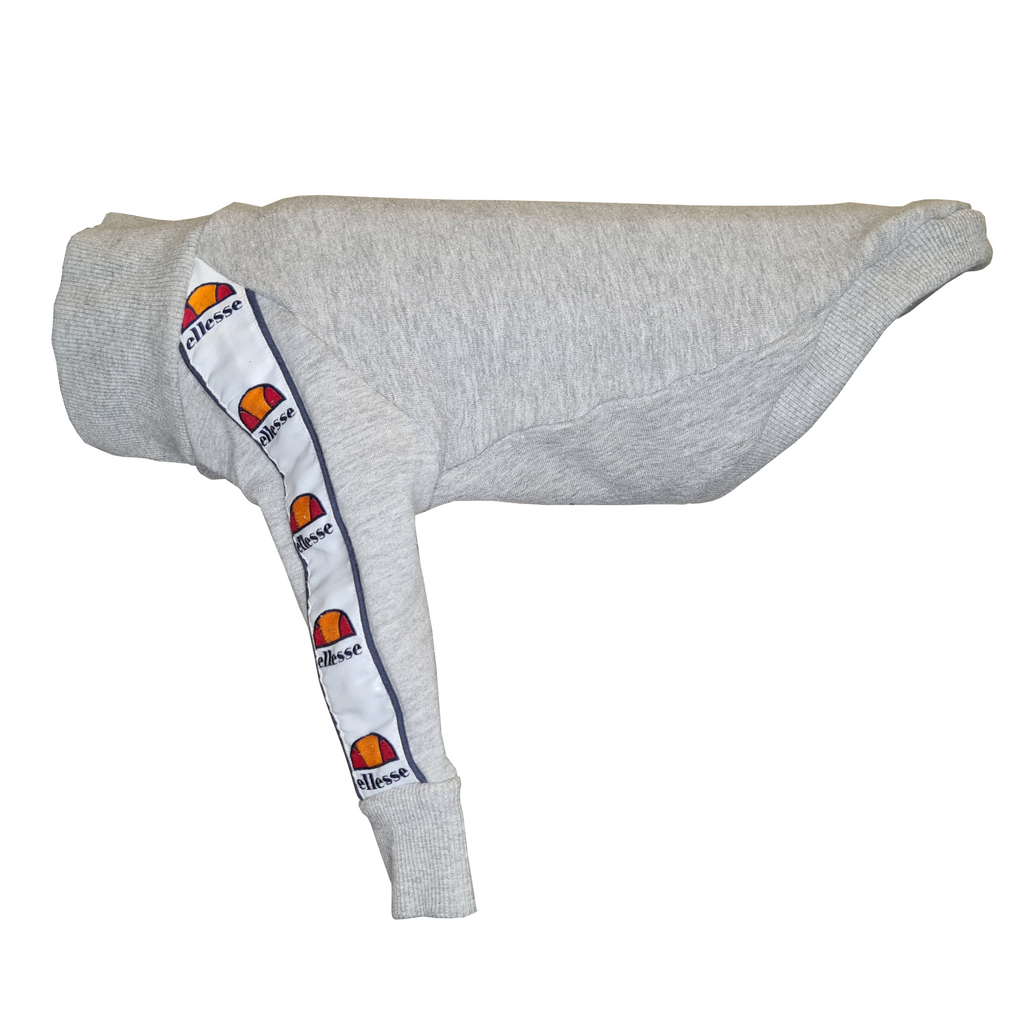 Standard Italian greyhound tracksuit