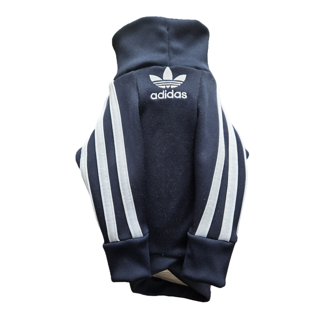 Standard Italian greyhound tracksuit