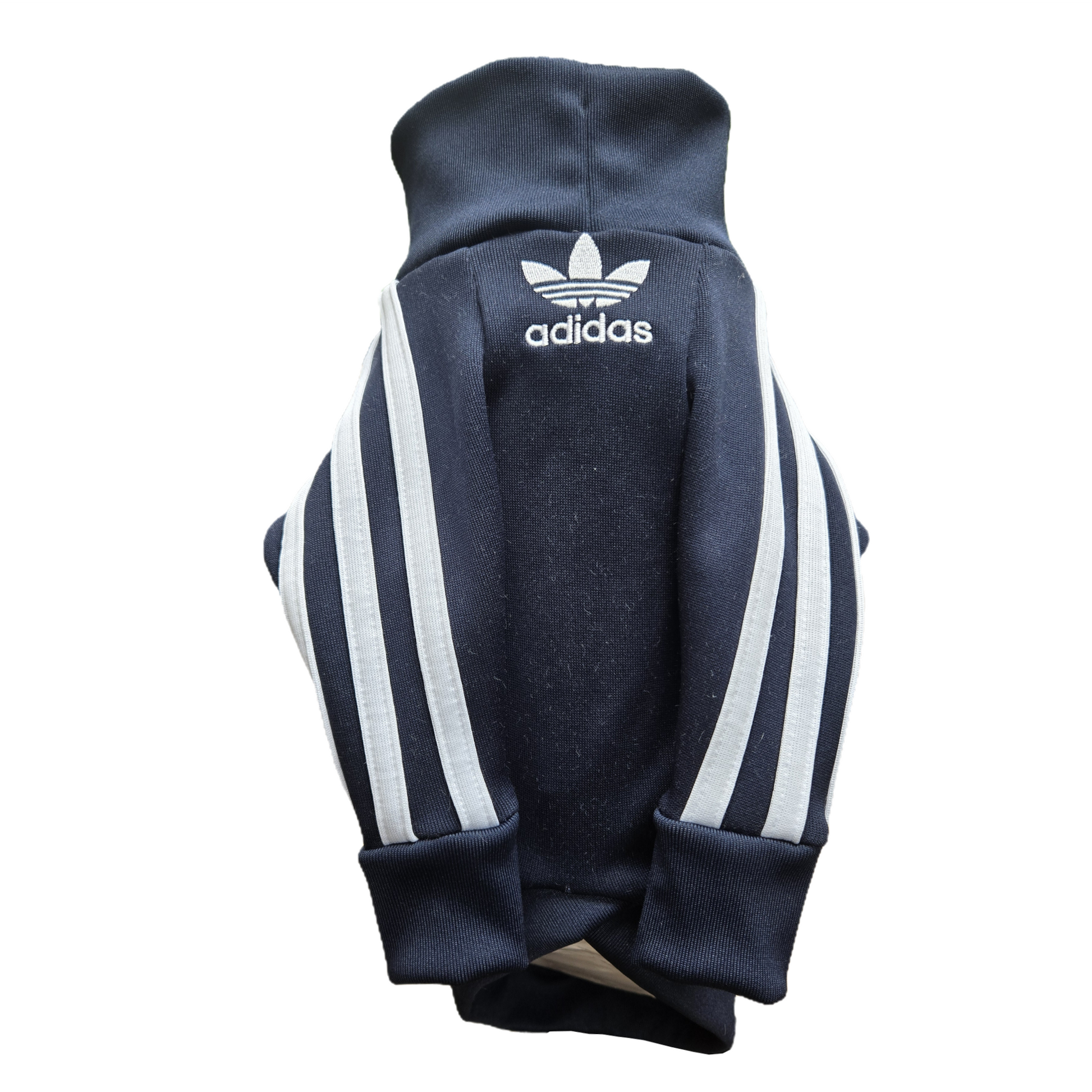 Standard Italian greyhound tracksuit