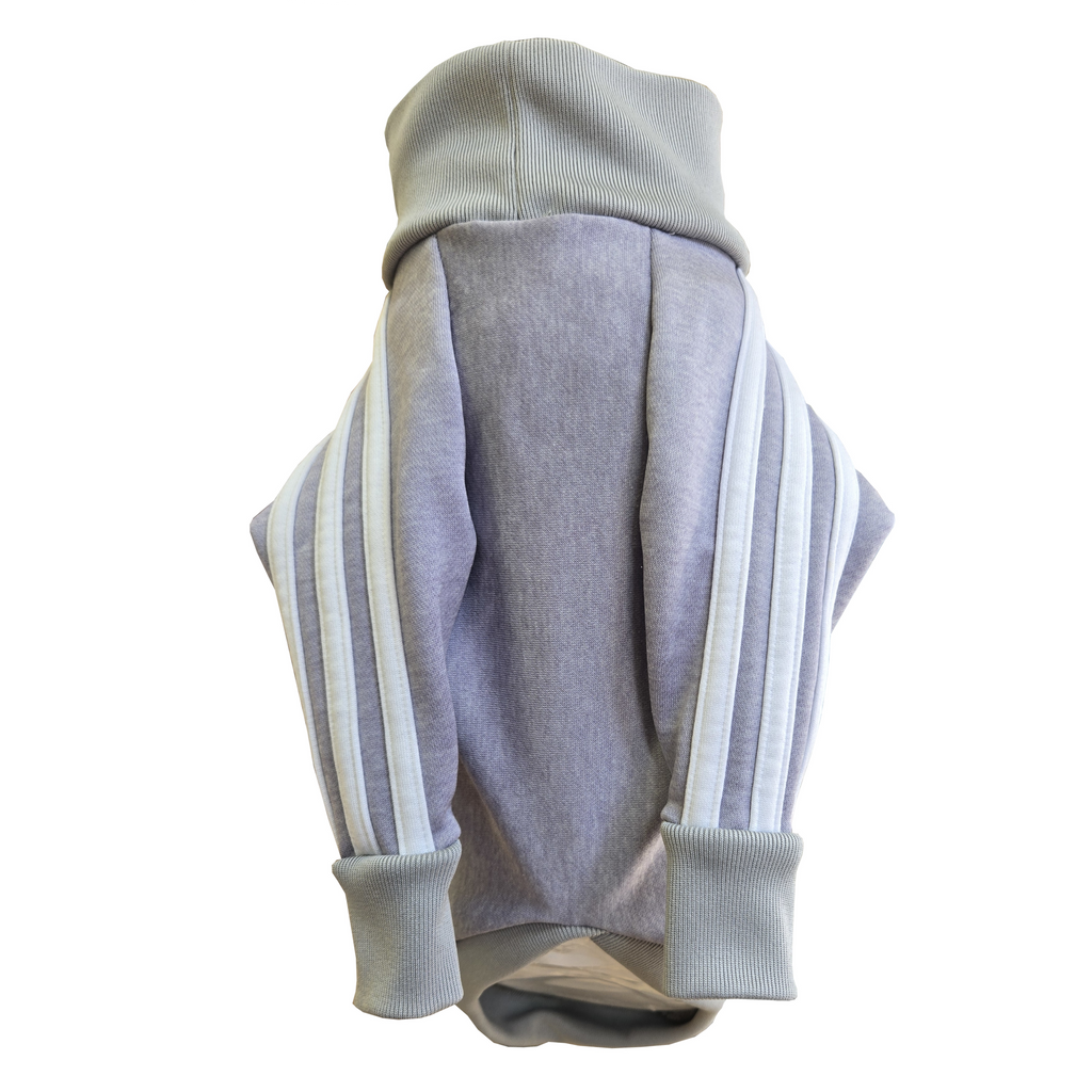 Standard Italian greyhound tracksuit