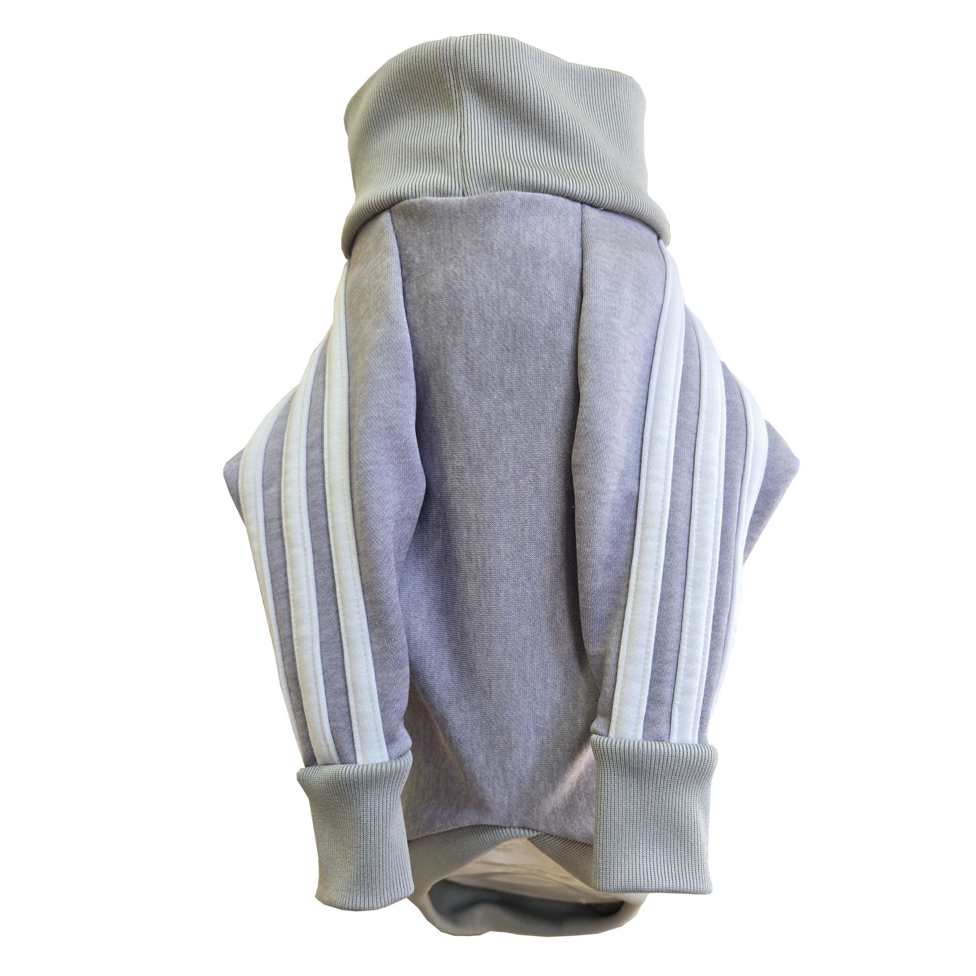 Standard Italian greyhound tracksuit