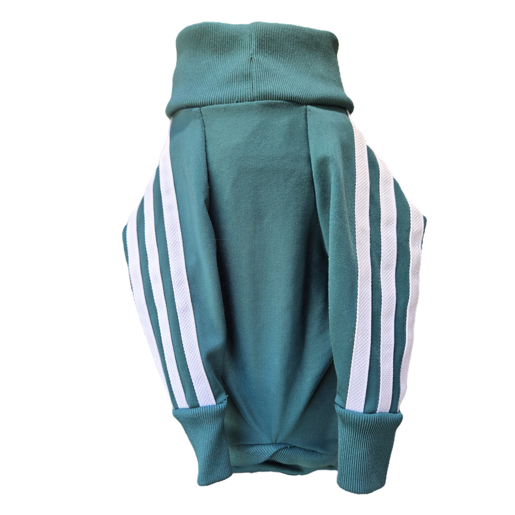 Standard Italian Greyhound tracksuit