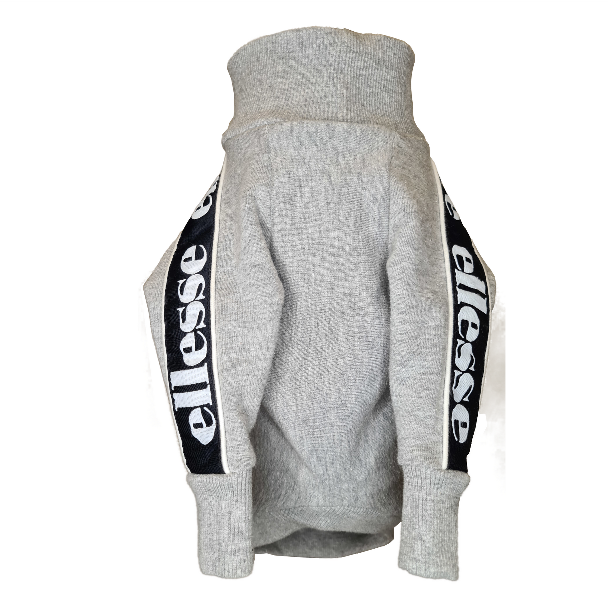 Standard Italian greyhound tracksuit