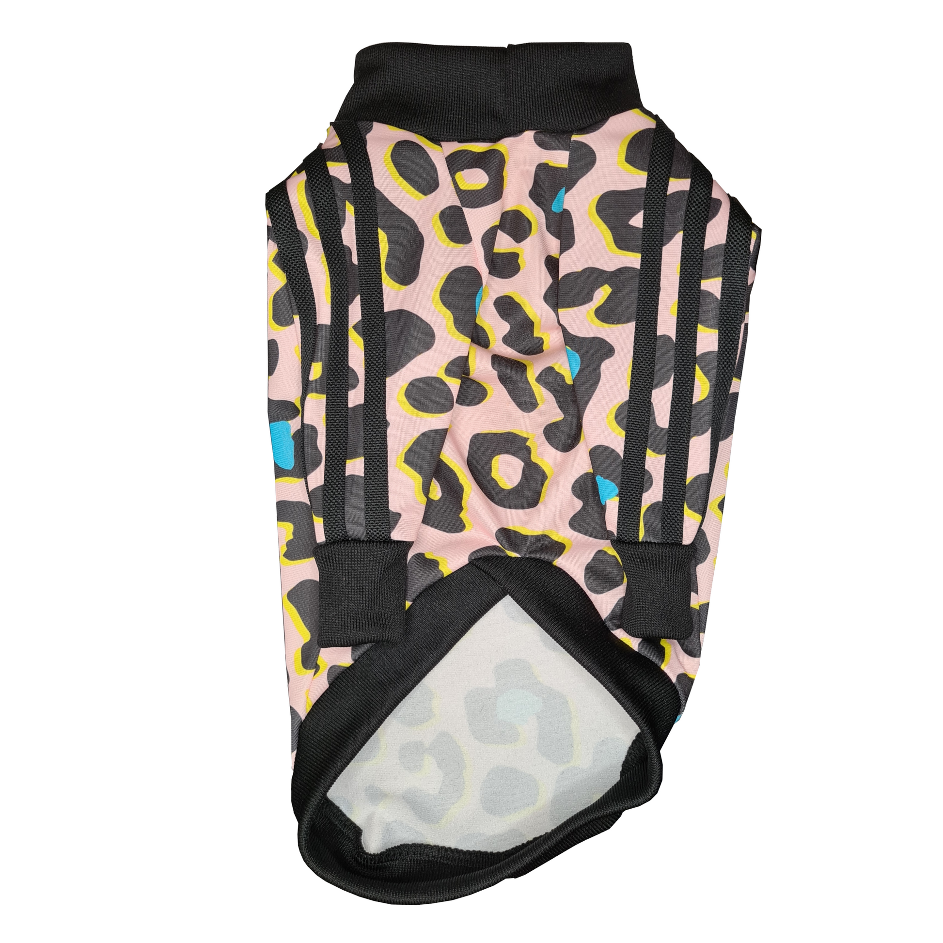 Standard Italian greyhound tracksuit