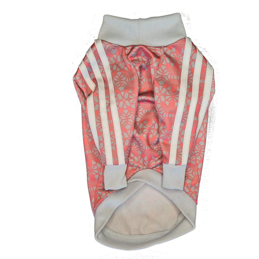 Standard Italian greyhound tracksuit