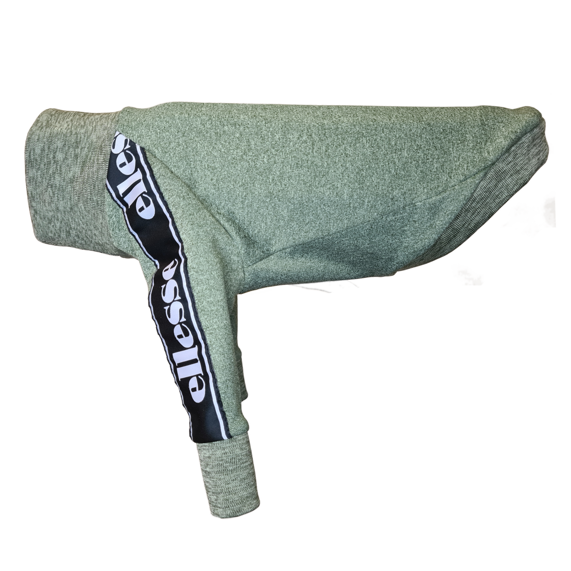 Standard Italian greyhound tracksuit