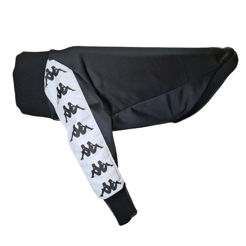 Standard Italian greyhound tracksuit