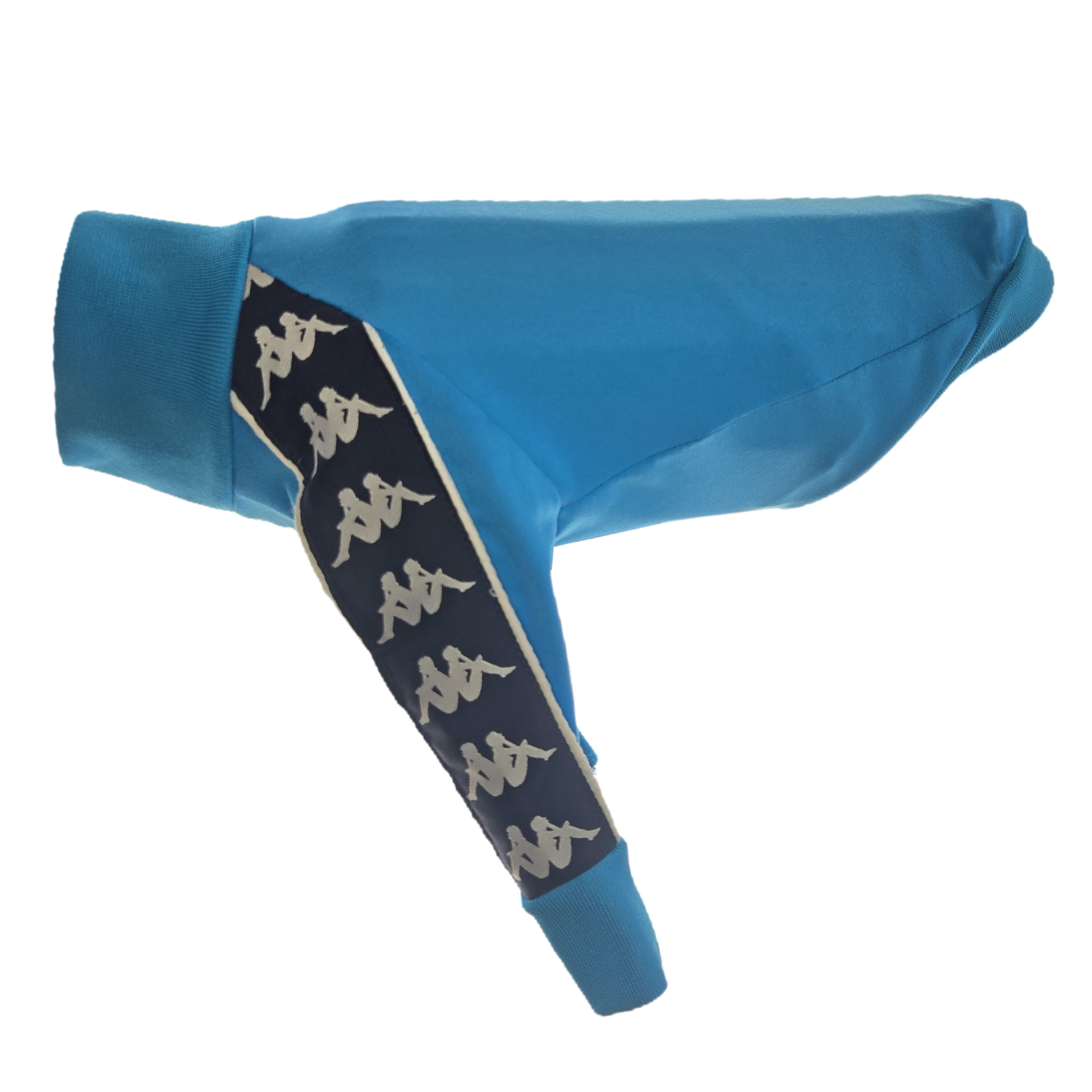 Standard Italian greyhound tracksuit