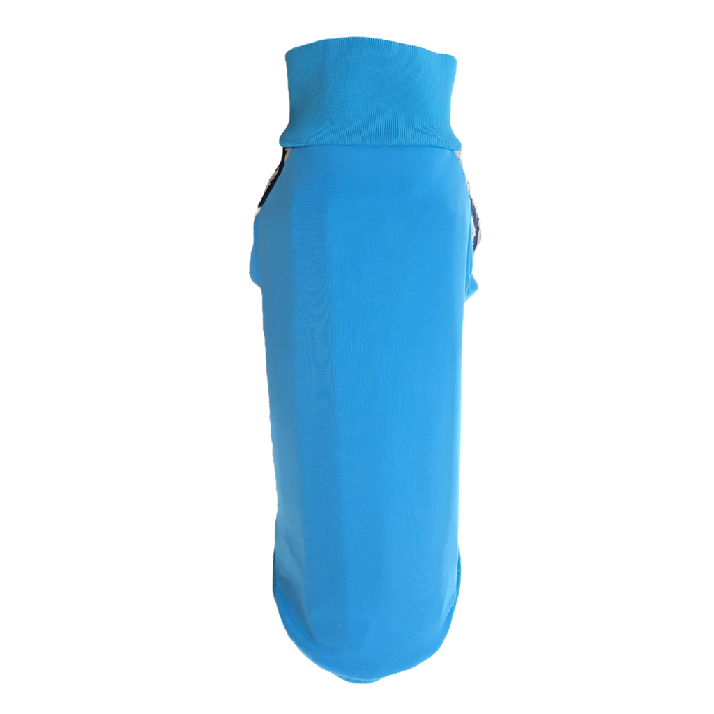 Standard Italian greyhound tracksuit