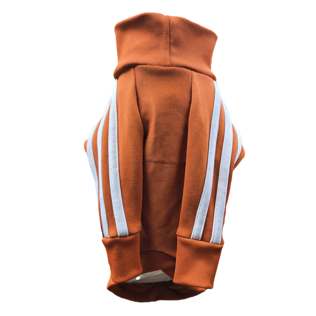 Standard Italian greyhound tracksuit