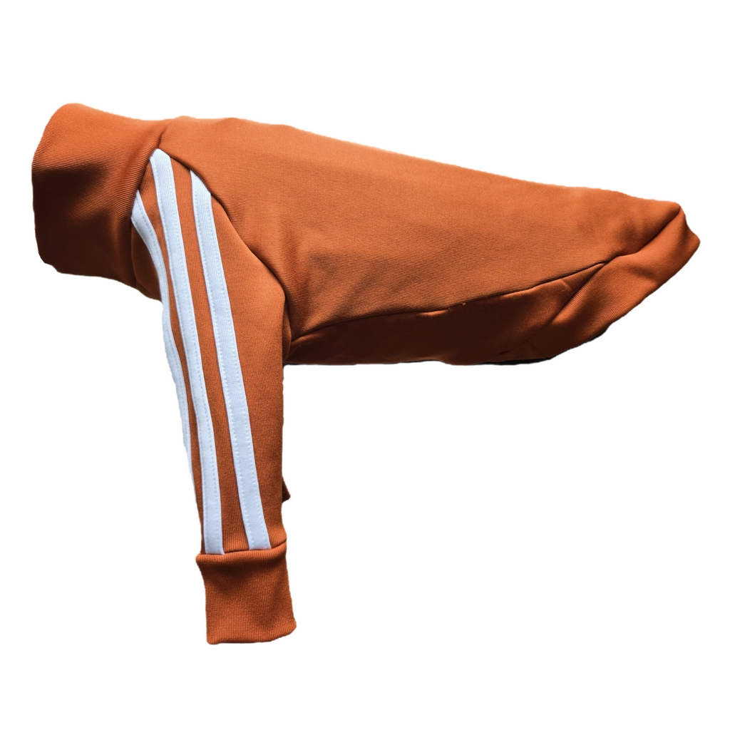 Standard Italian greyhound tracksuit