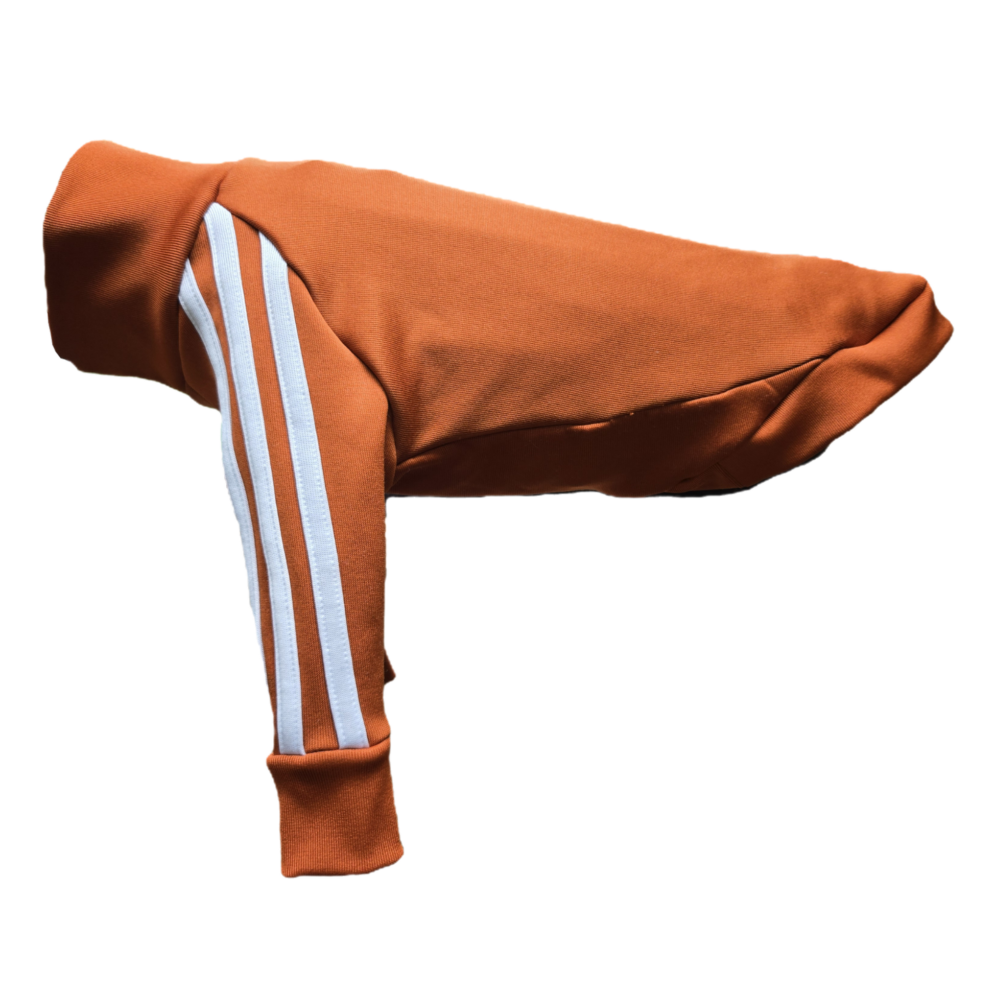 Standard Italian greyhound tracksuit