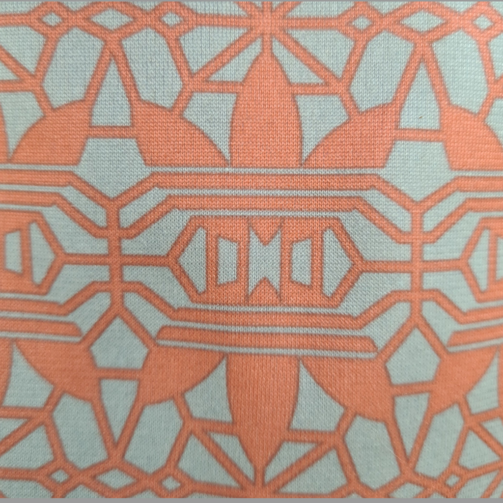 Standard Italian greyhound tracksuit