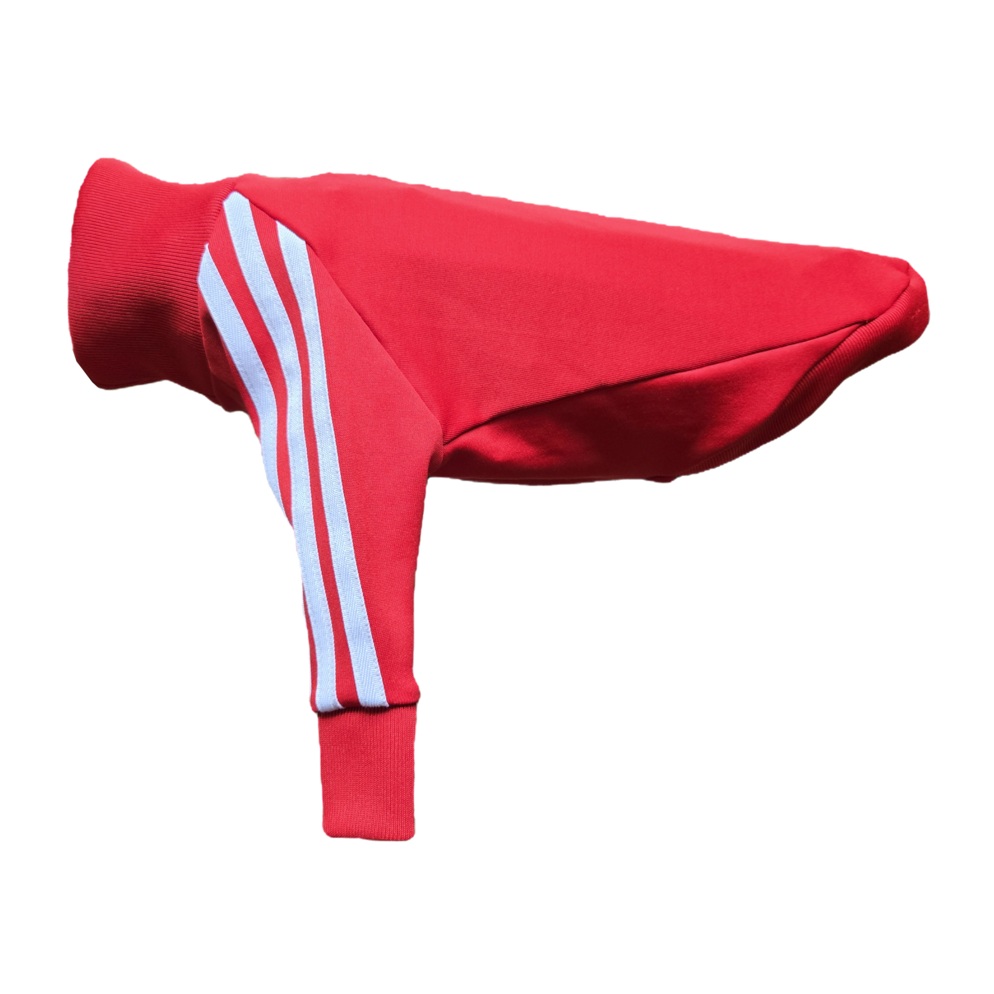 Standard Italian greyhound tracksuit