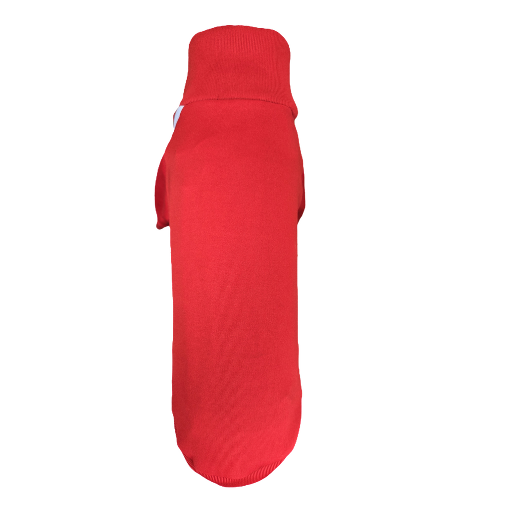 Standard Italian greyhound tracksuit