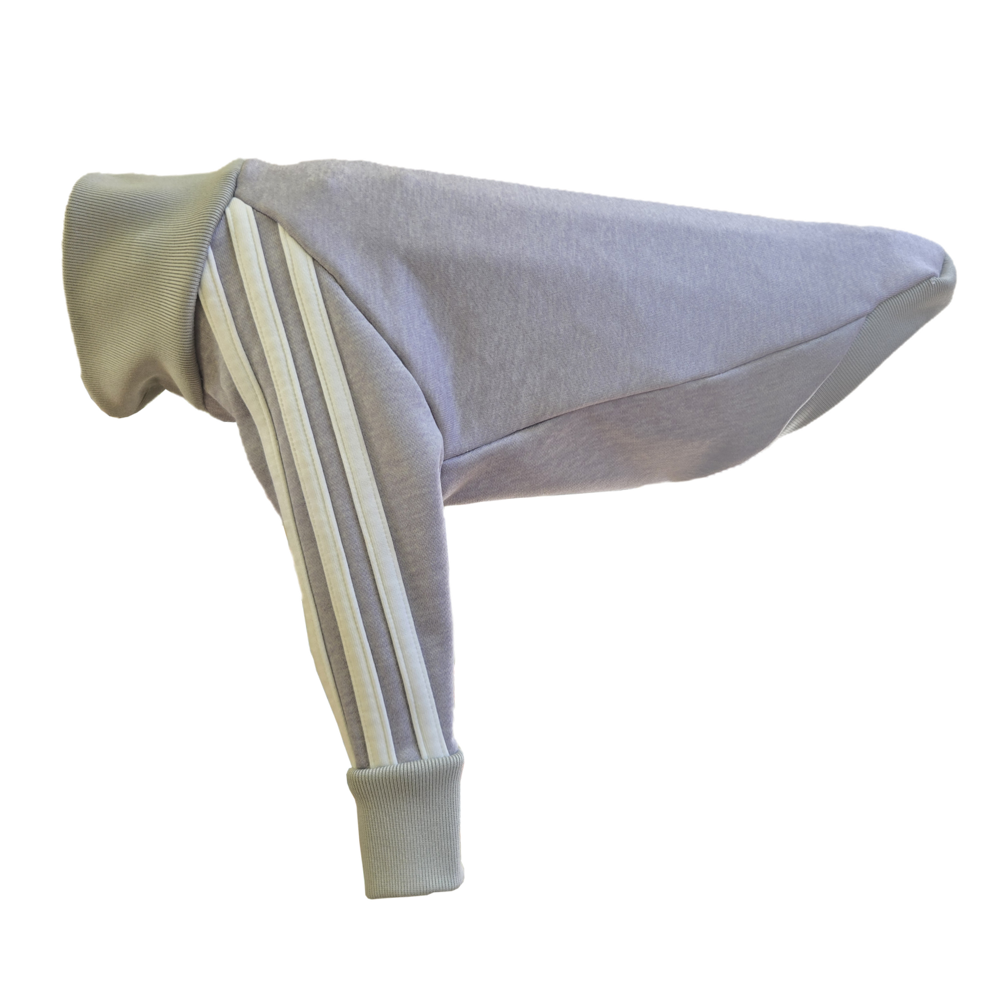 Standard Italian greyhound tracksuit