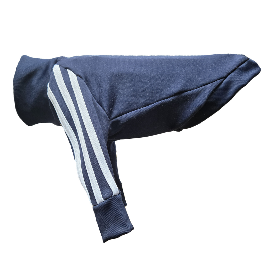 Standard Italian greyhound tracksuit