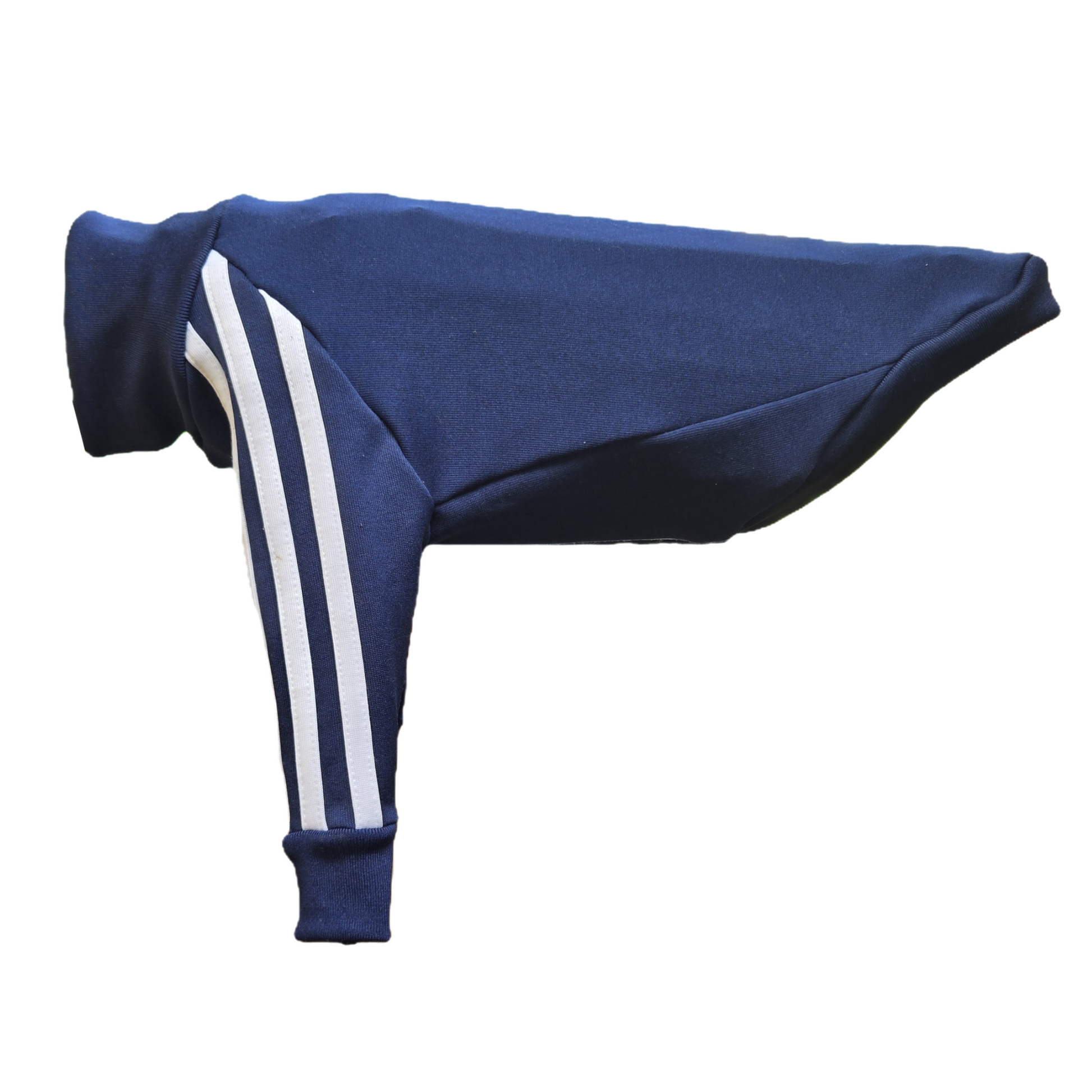 Standard Italian greyhound tracksuit