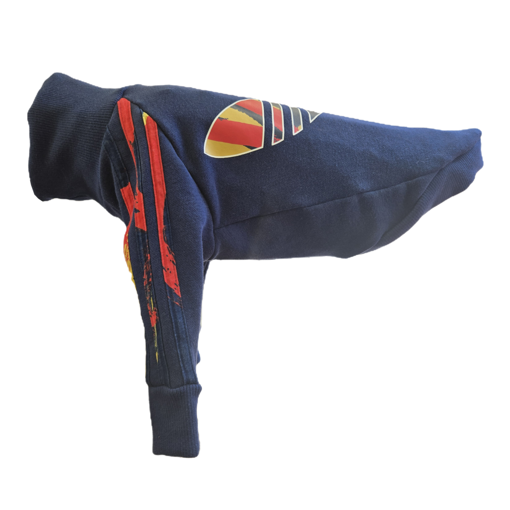 Standard Italian greyhound tracksuit