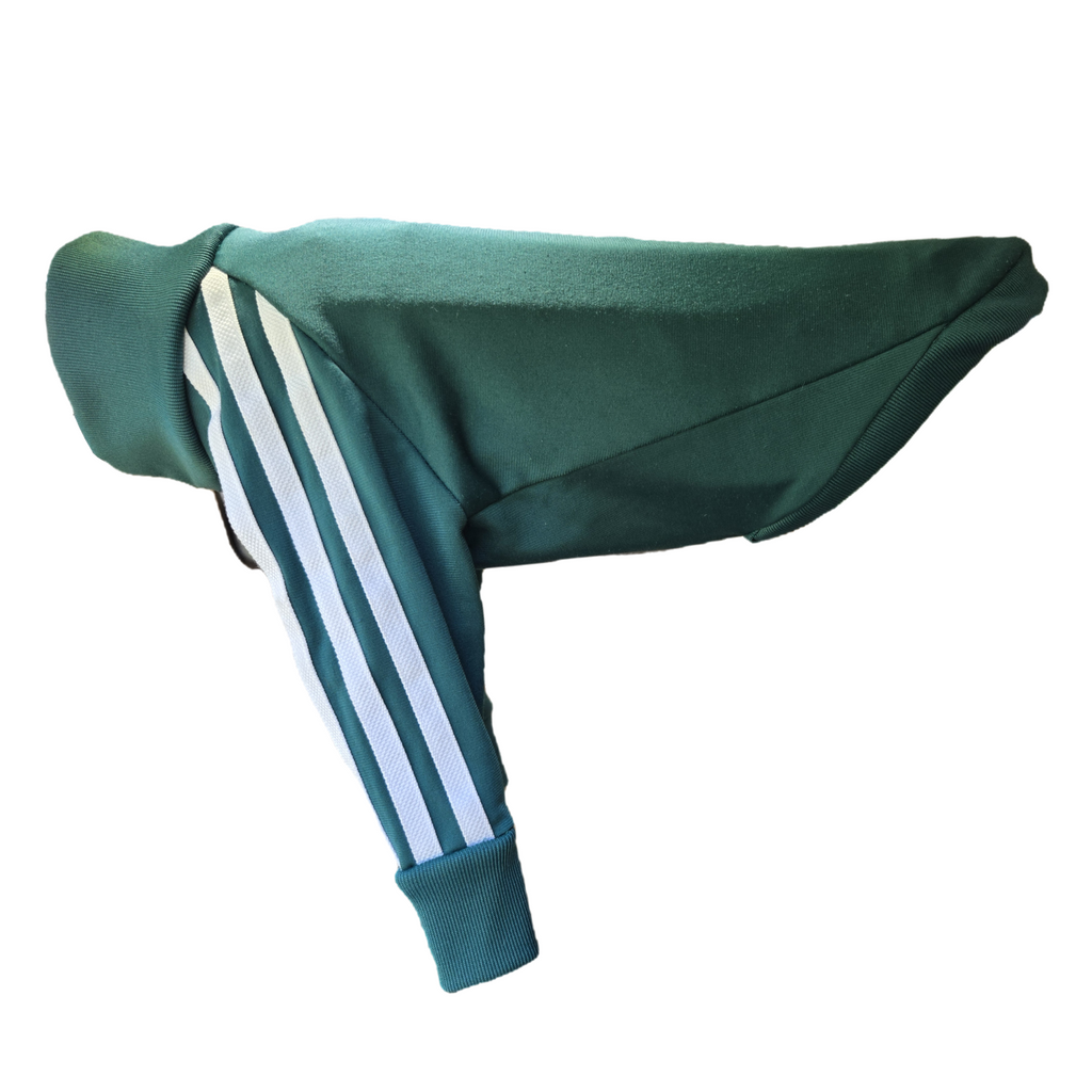 Standard Italian Greyhound tracksuit