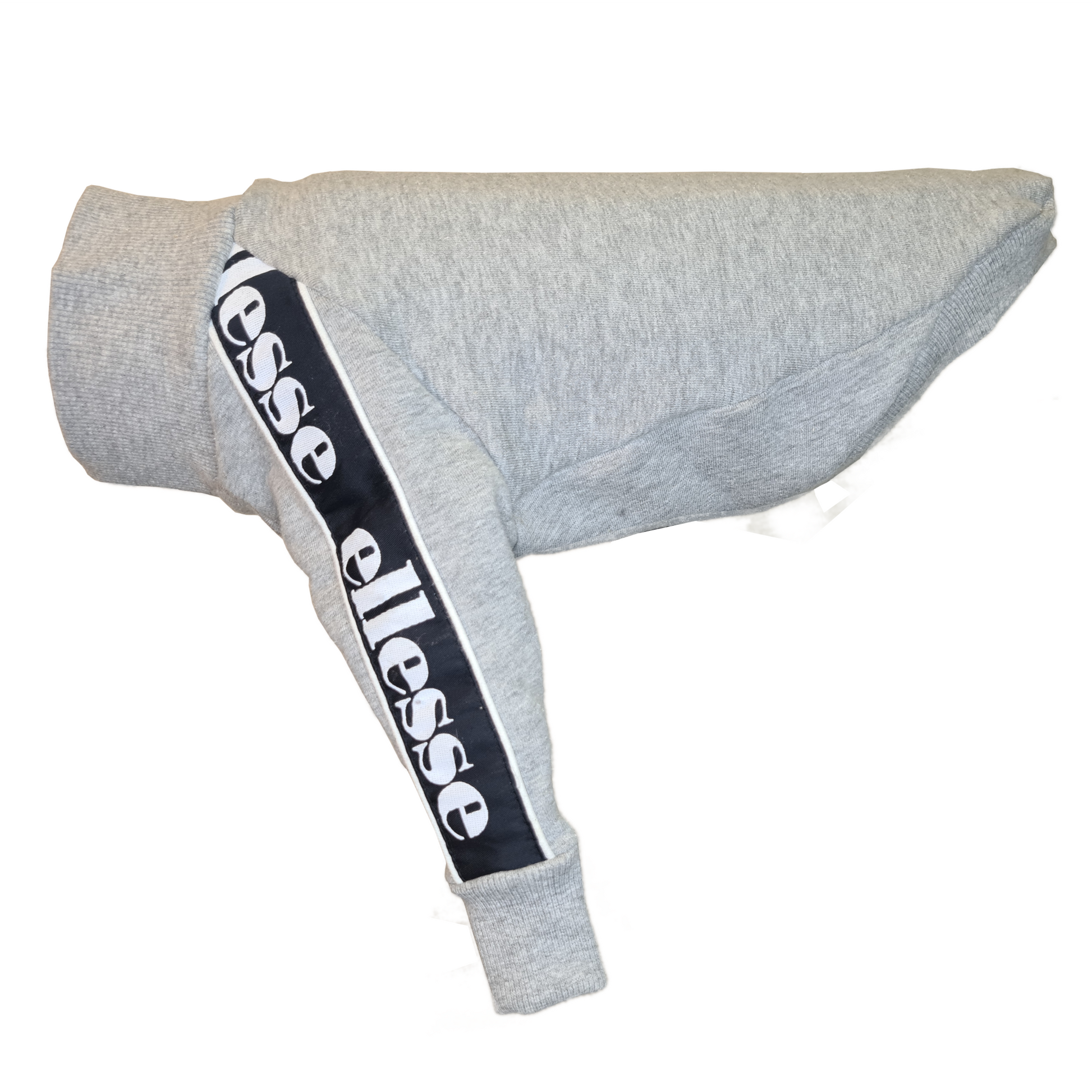 Standard Italian greyhound tracksuit