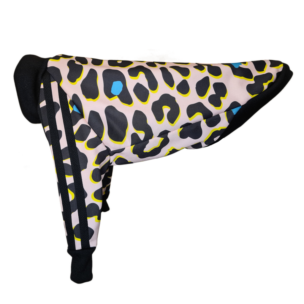 Standard Italian greyhound tracksuit