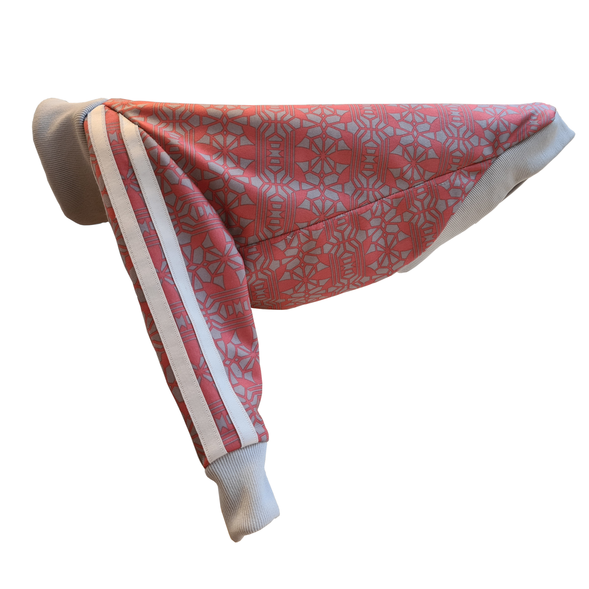 Standard Italian greyhound tracksuit