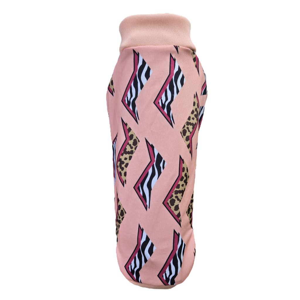 Small Italian Greyhound (Copy)