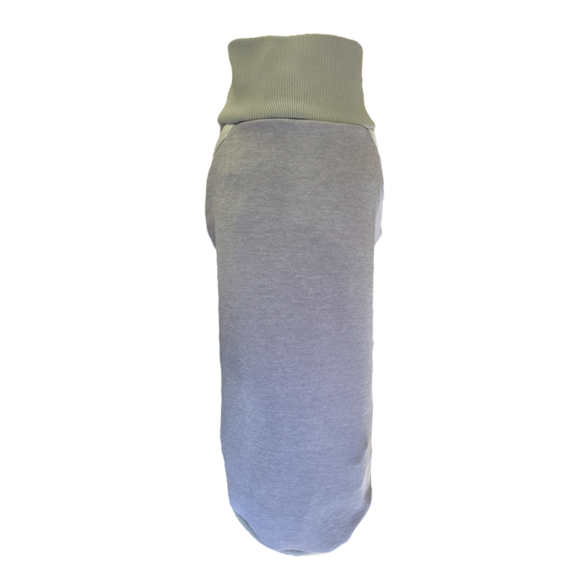 Standard Italian greyhound tracksuit