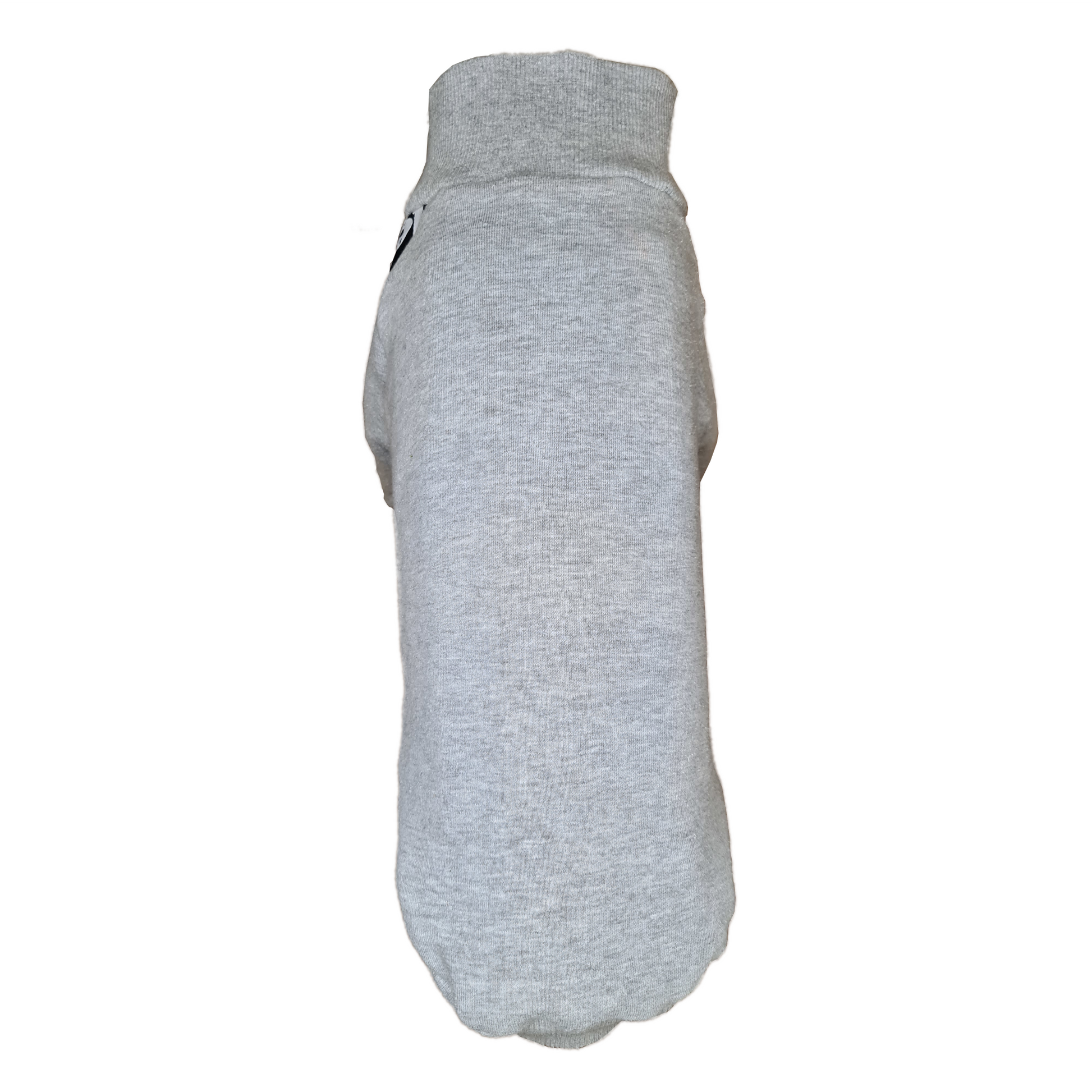 Standard Italian greyhound tracksuit