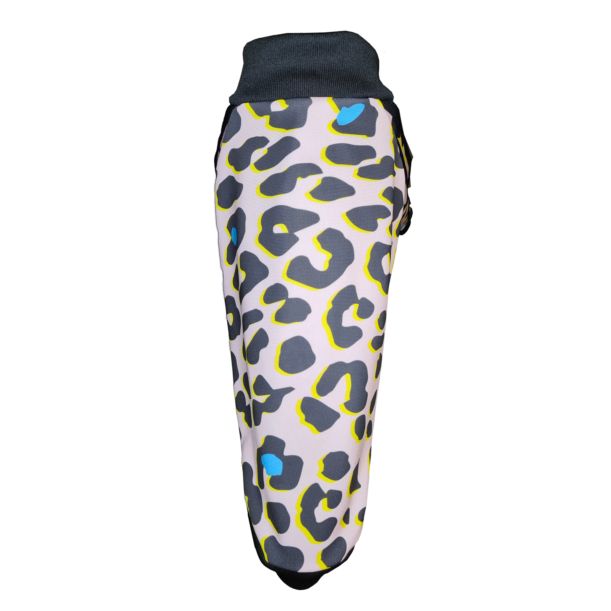 Standard Italian greyhound tracksuit